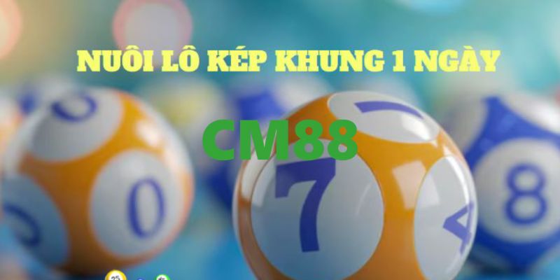 Nuôi Lô Kép Khung 1 Ngày Bất Bại Dành Cho Người Mới 5 Lô kép khung 1 ngày